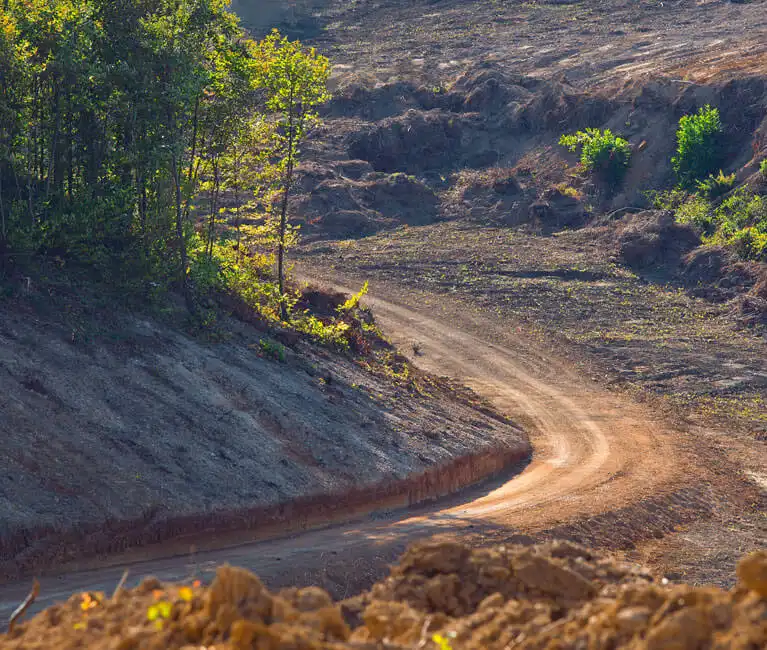 RoadEng Forest Engineer